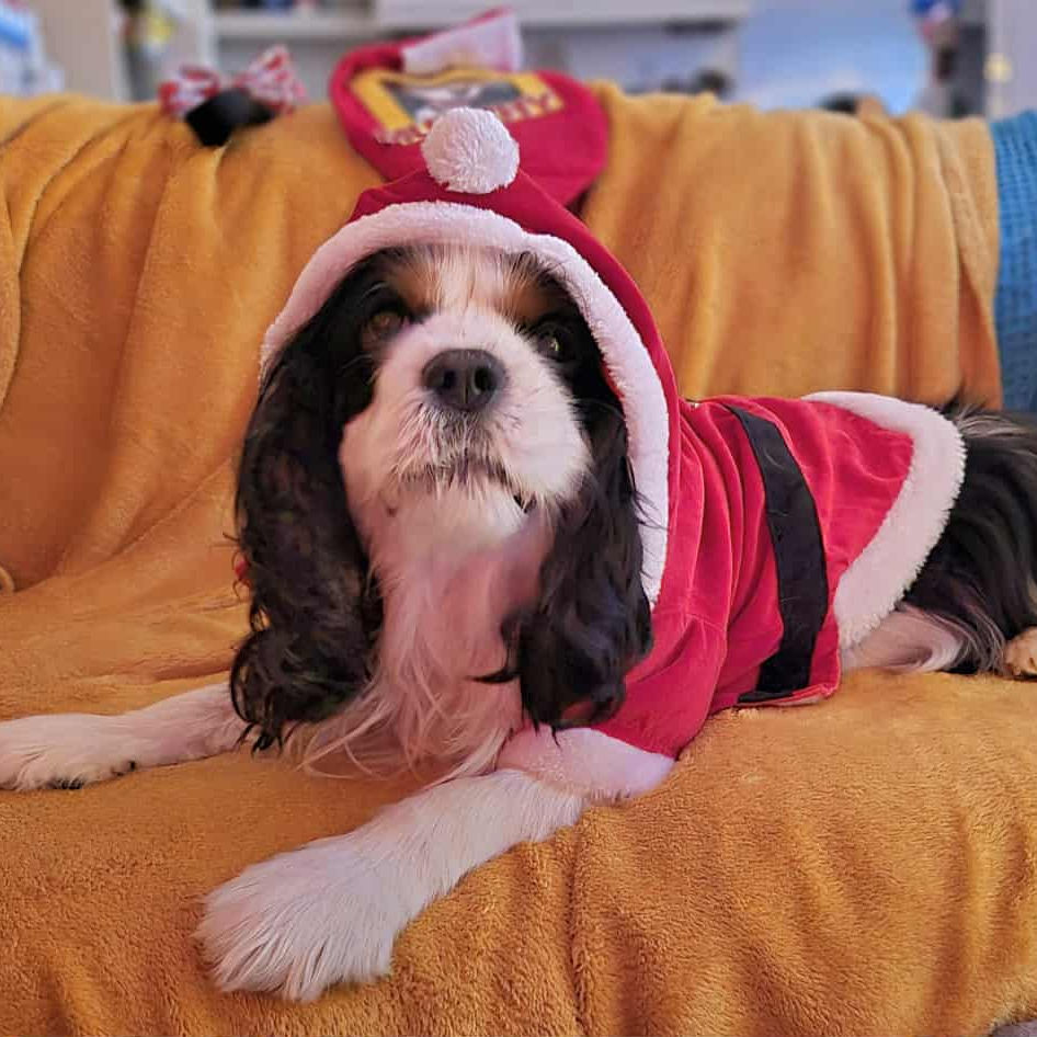 2024_2025 - Murphy - 7